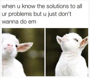 knowing all the solutions