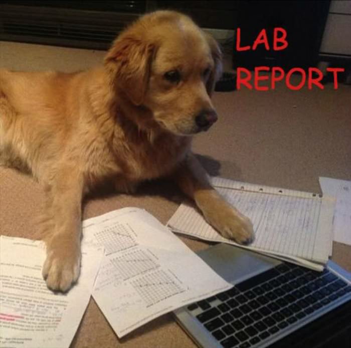 lab report ... 2