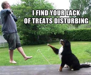 lack of treats funny picture