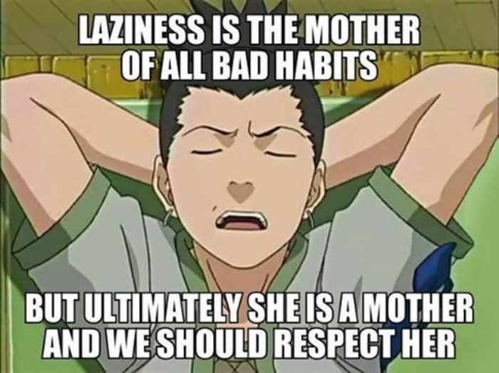 laziness is the mother of bad habits funny picture