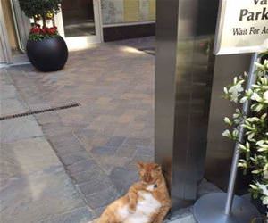 lazy doorman funny picture