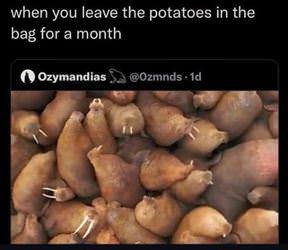 leave potatoes