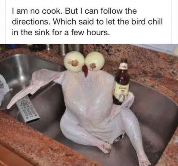 A Bird Chilling funny picture