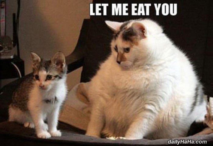 let me eat you funny picture