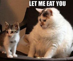 let me eat you funny picture