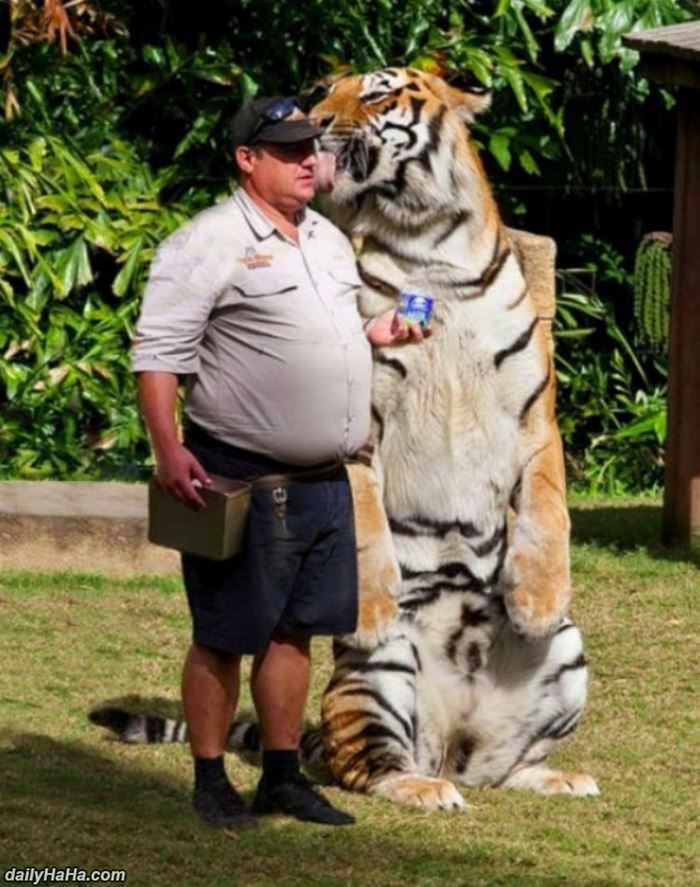 let_me_give_you_a_kiss Let Me Give You A Kiss