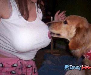 Licking Dog funny picture