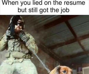 lie on the resume