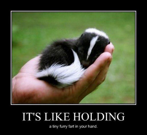 http://www.dailyhaha.com/_pics/like_holding.jpg