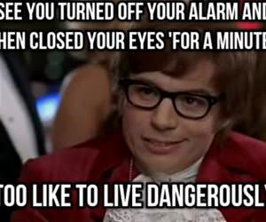 living dangerously funny picture