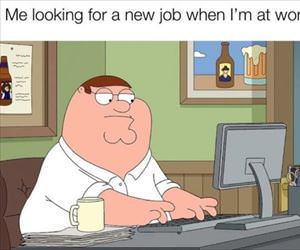 looking for a new job