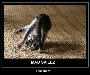 Mad Skillz