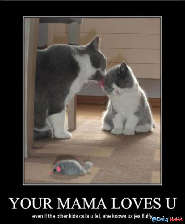 Mama Loves You funny picture