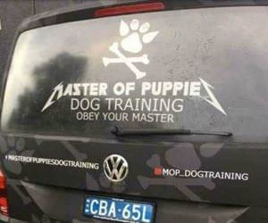 master of puppies ... 2