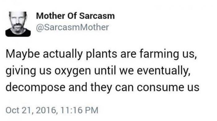 maybe plants are farming us funny picture