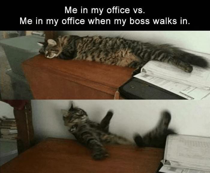 me in the office