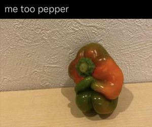 me too pepper