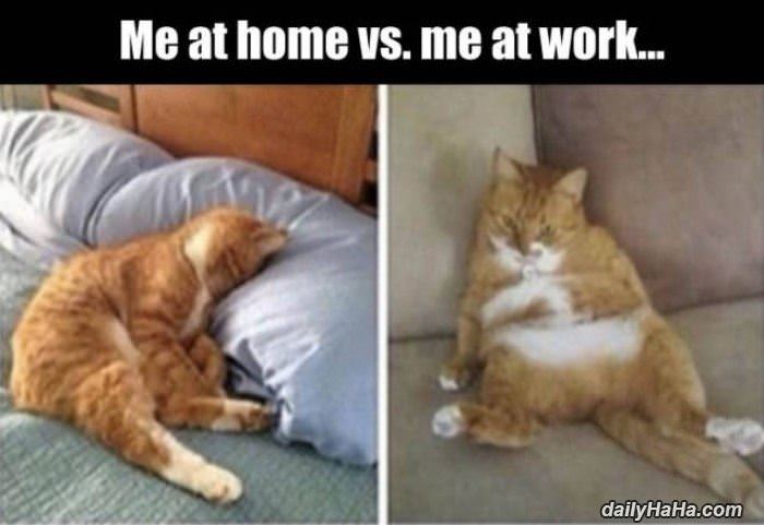me at home vs me at work funny picture