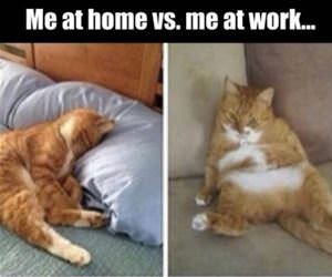 me at home vs me at work funny picture