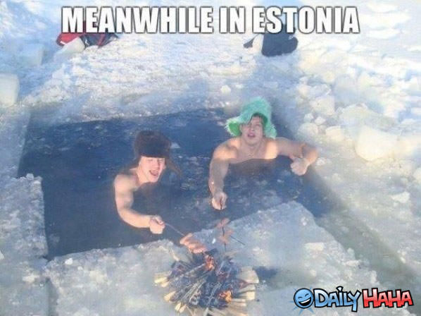 Estonians funny picture