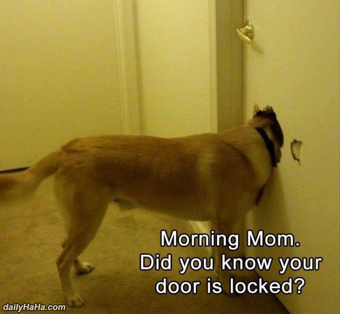 morning mom funny picture