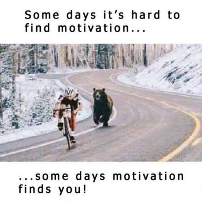 motivation funny picture