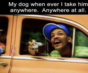 my dog when i take him places