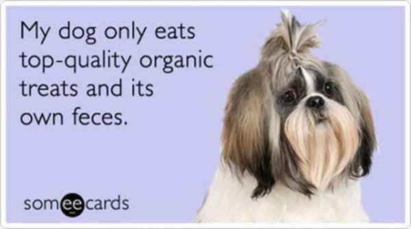 Organic Dog Treats funny picture