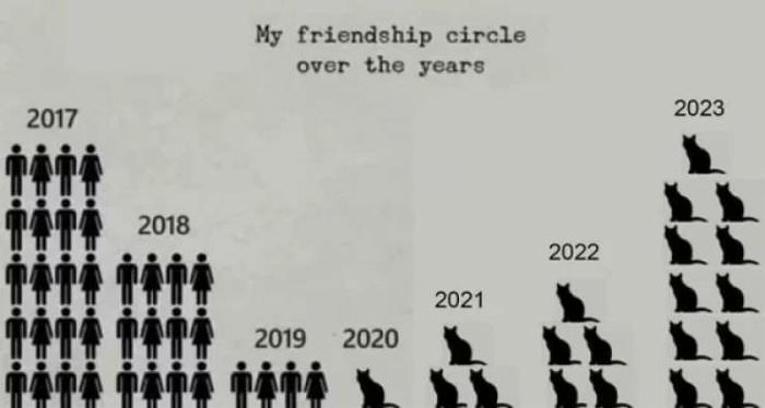 my friendship circle