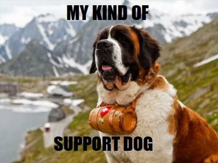 my kind of support dog