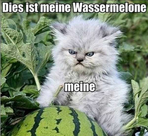 Dis Mein Watermelon funny picture