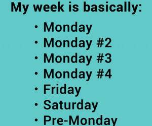 What My Work Week Looks Like funny picture