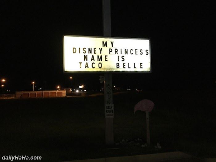 my disney princess name funny picture