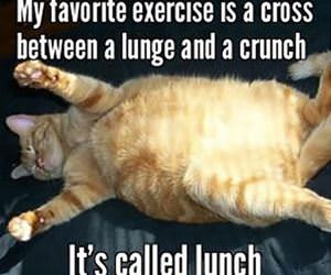 my favorite exercise funny picture