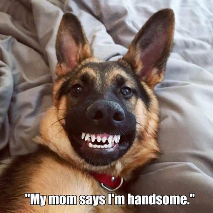 my mom says im handsome funny picture