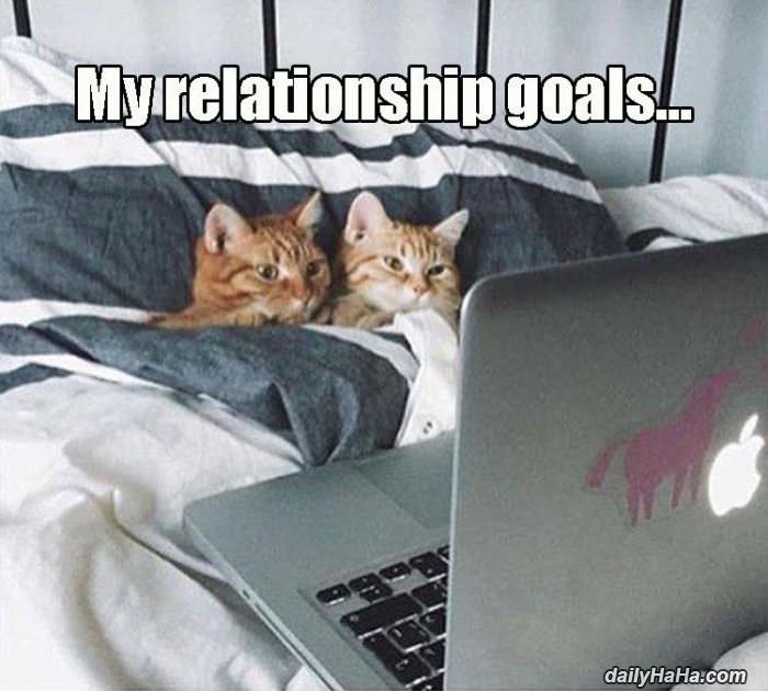 my relationship goals funny picture