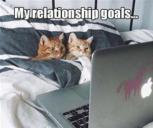 my relationship goals funny picture