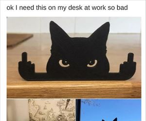need this on my desk