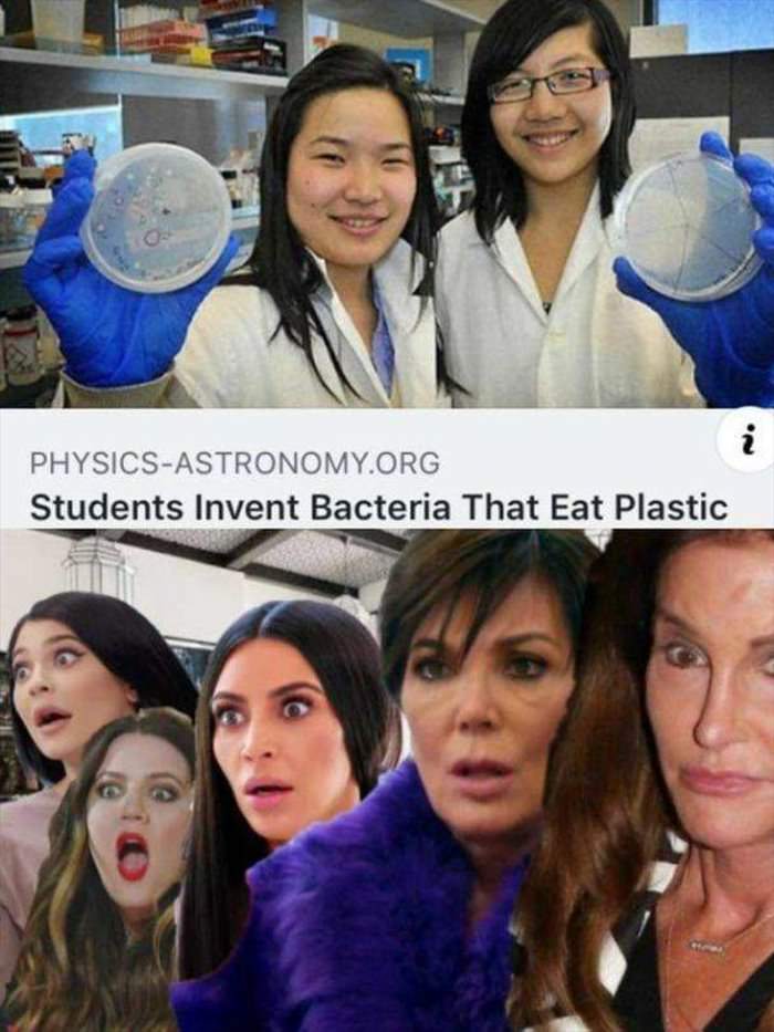 new bacteria