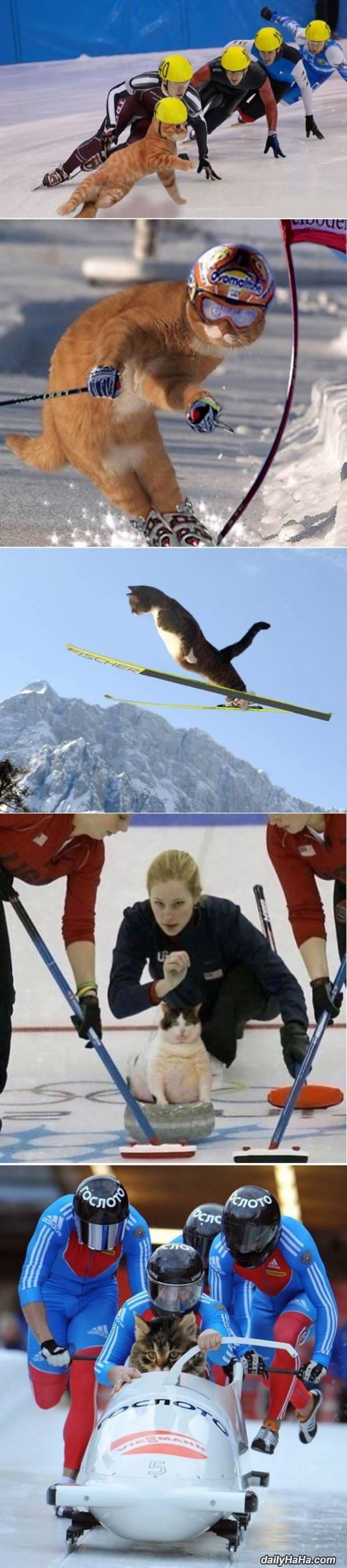 next olympics funny picture