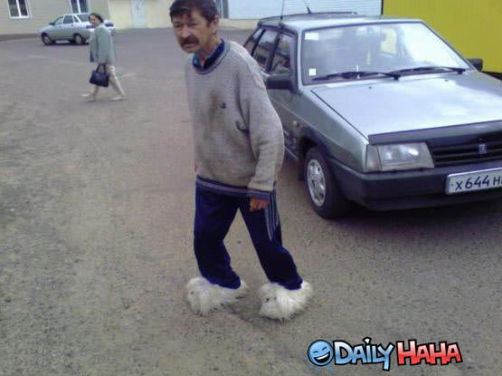 Nice Slippers