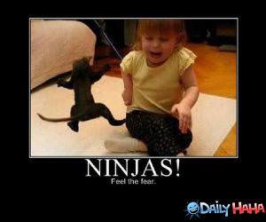Ninjas funny picture