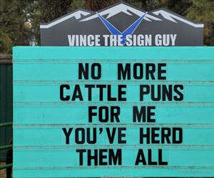 no more cattle puns