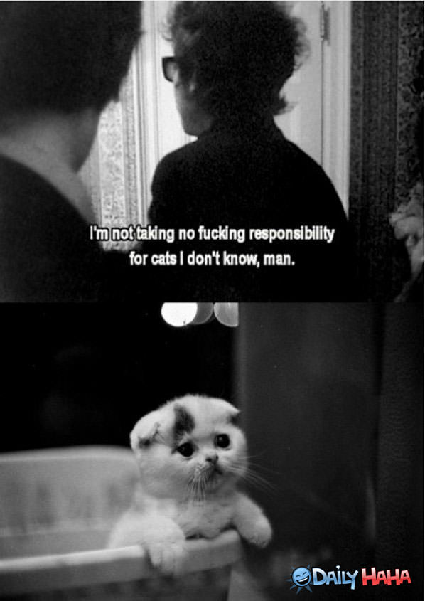 No Responsibility funny picture