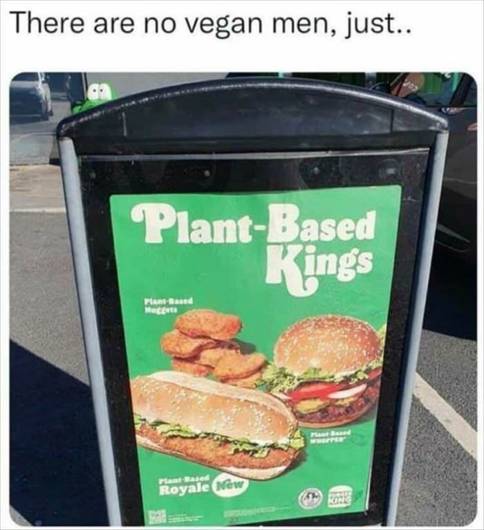 no vegan meals