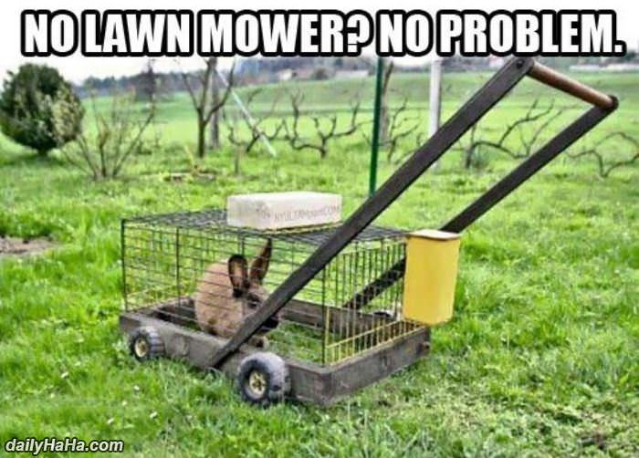 no lawn mower no problem funny picture