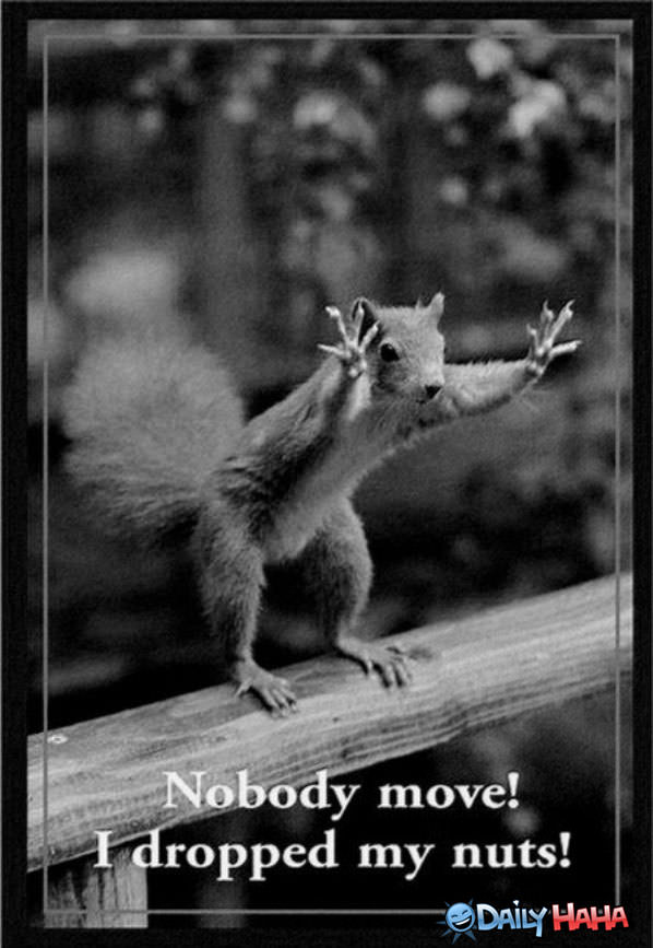Nobody Move funny picture