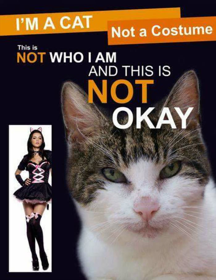 not a costume