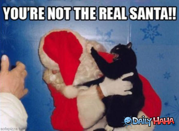 Real Santa funny picture