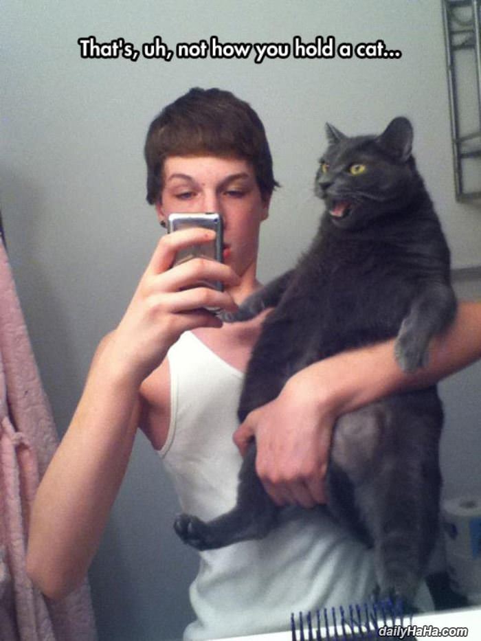 not how you hold a cat funny picture